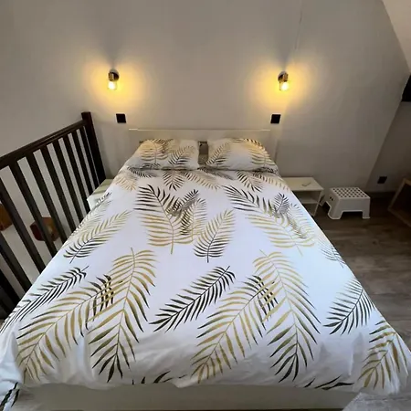 Le Cosy - Place De La Republique Dijon